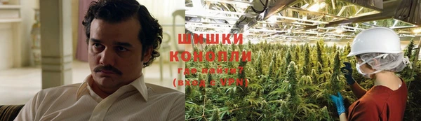 индика Кулебаки