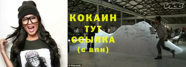 индика Кулебаки