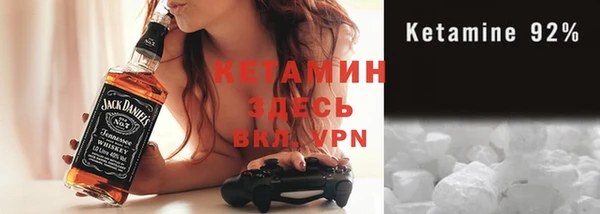 индика Кулебаки