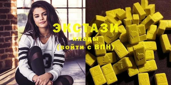индика Кулебаки