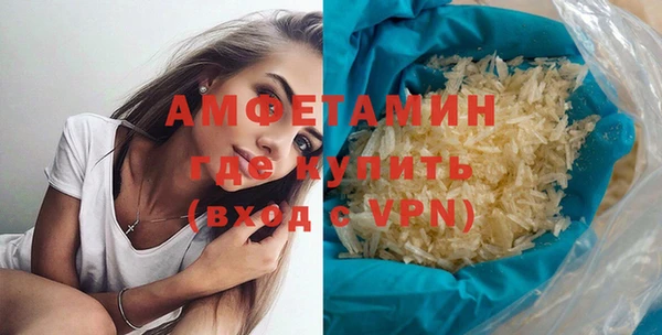 индика Кулебаки