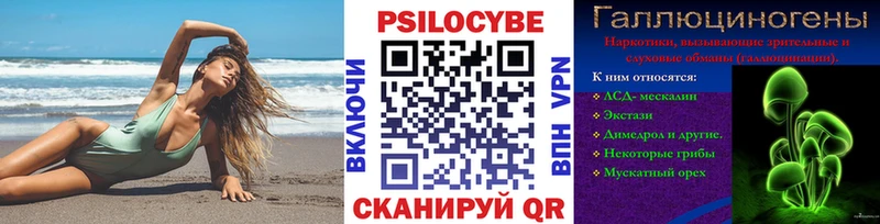 что такое Тимашёвск площадка как зайти Галлюциногенные грибы Psilocybe