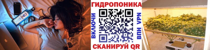 Шишки марихуана сатива  Тимашёвск 